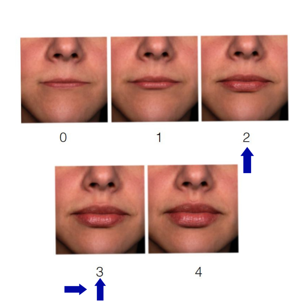 4 examples of lips